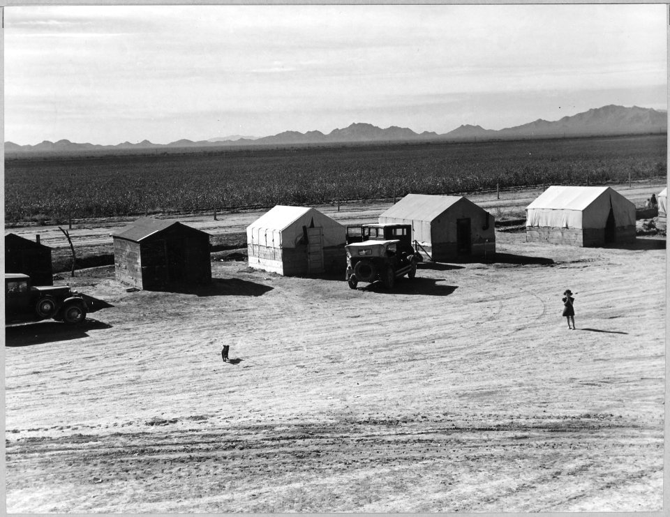 Eloy District, Pinal County, Arizona. This camp has 8 lumber shacks, 12 tents (without floors), 2 to . . . - NARA - 522018