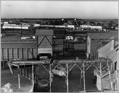 Eloy, Pinal County, Arizona. Looking down from water tower of cotton gin, shows ginyard, cotton pick . . . - NARA - 522271