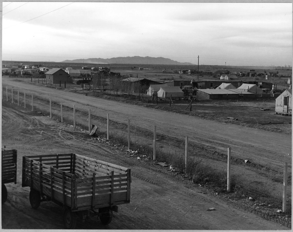 Eloy, Pinal County, Arizona. Squatter camp, across the road from the cotton gin. The only water avai . . . - NARA - 522272