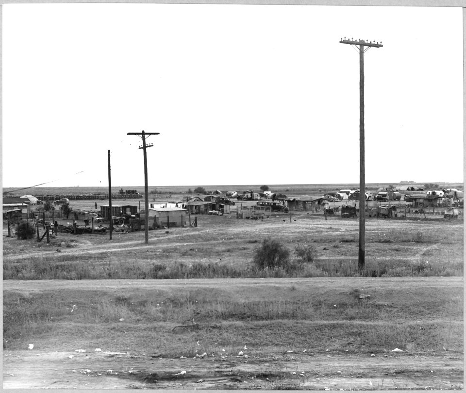 Eloy, Pinal County, Arizona. Squatter's camp of cotton pickers across the railroad tracks of western . . . - NARA - 522275