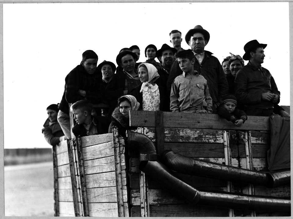 Eloy, Pinal County, Arizona. Truck-load of cotton pickers, just pulled into town in the late afterno . . . - NARA - 522260