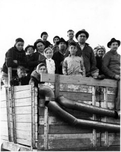 Eloy, Pinal County, Arizona. Truckload of cotton pickers just pulled into town in the late afternoon . . . - NARA - 522530