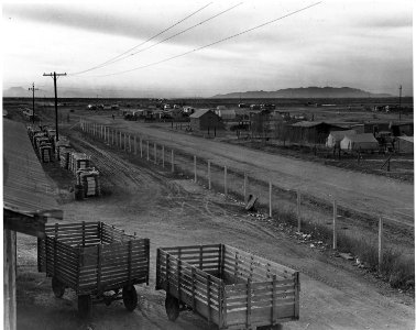 Eloy, Pinal County, Arizona. Squatter camp, across the road from the cotton gin. The only water avai . . . - NARA - 522517