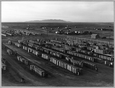 Eloy, Pinal County, Arizona. Outskirts of Eloy seen from water tower of cotton gin. Shows cotton yar . . . - NARA - 522273 photo