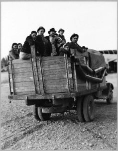 Eloy, Pinal County, Arizona. Truckload of cotton pickers, just pulled into town in the late afternoo . . . - NARA - 522262