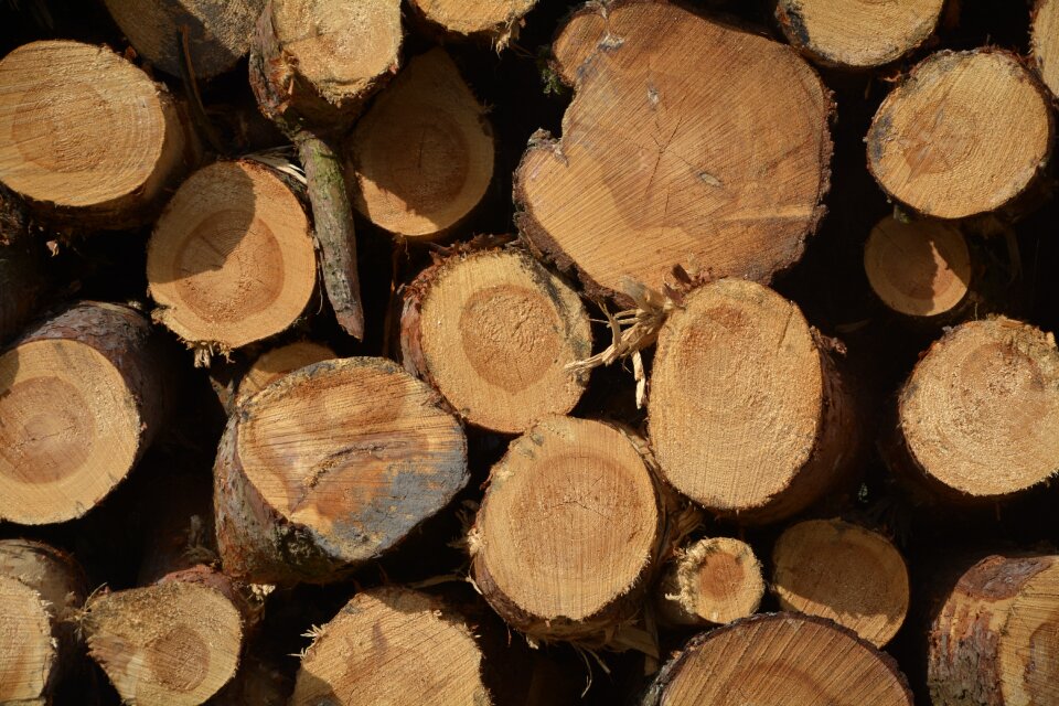 Section tribe holzstapel