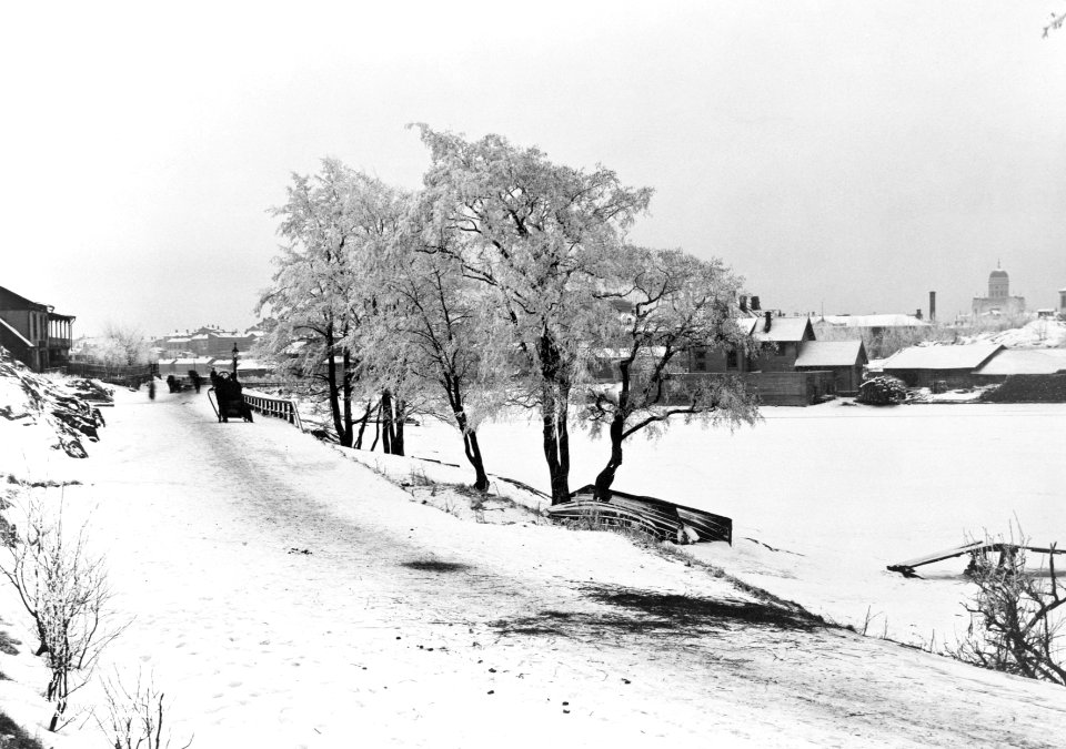 Eläintarhantie, Eläintarhan huvila 1-n kohdalla - N24729 (hkm.HKMS000005-km00241x)