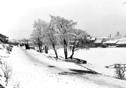 Eläintarhantie, Eläintarhan huvila 1-n kohdalla - N24729 (hkm.HKMS000005-km00241x)