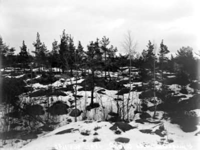 Eläintarhan huvilan nro 6 (Hedvig Sofian sairaskoti) rakentamaton tontti (=Eläintarhantie 11) - N1190 - hkm.HKMS000005-km0000mfc6