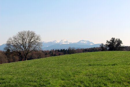 Tree panorama wendelstein photo