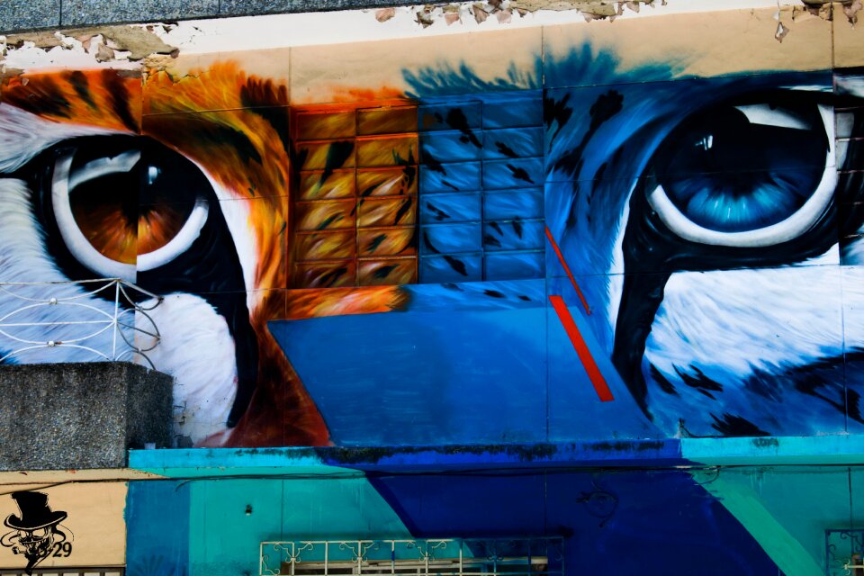 Feline mural commune