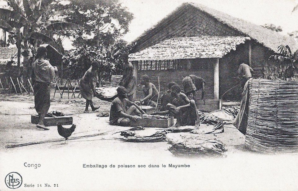 Emballage de poisson sec dans le Mayumbe-Congo