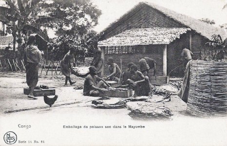 Emballage de poisson sec dans le Mayumbe-Congo