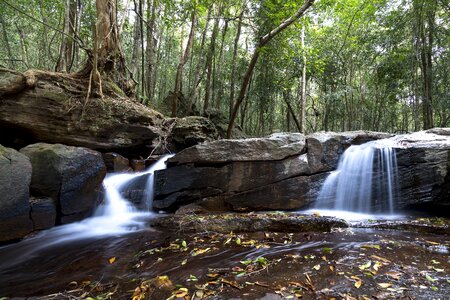 Climate flow forest photo