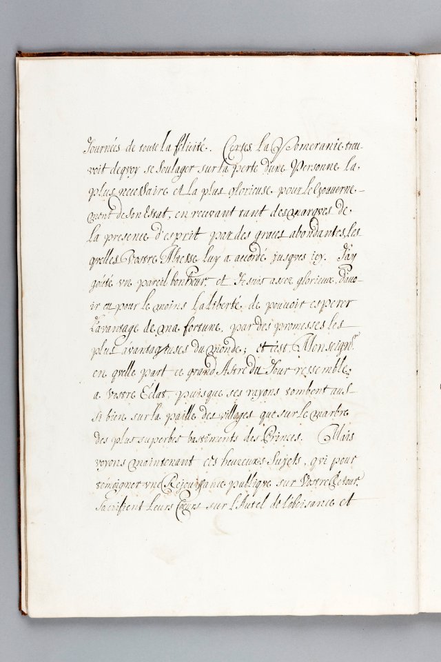Emblematica Arcis Regiae Stetinensis Delineatio - Skoklosters slott - 93716