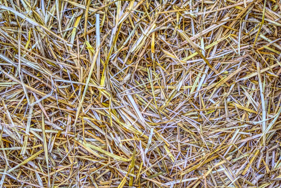 Background harvest harvested