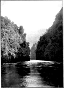 Emerald Hours in New Zealand (1906) · Lowth · 089