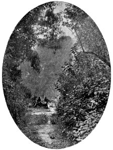 Emerald Hours in New Zealand (1906) · Lowth · 044