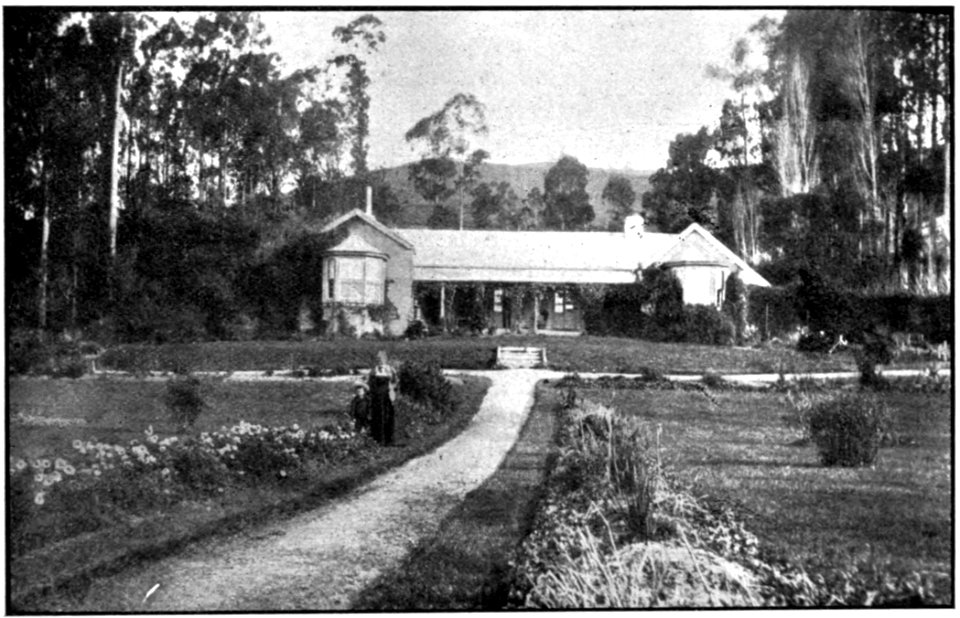 Emerald Hours in New Zealand (1906) · Lowth · 097