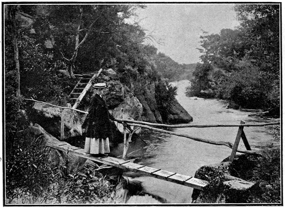 Emerald Hours in New Zealand (1906) · Lowth · 076