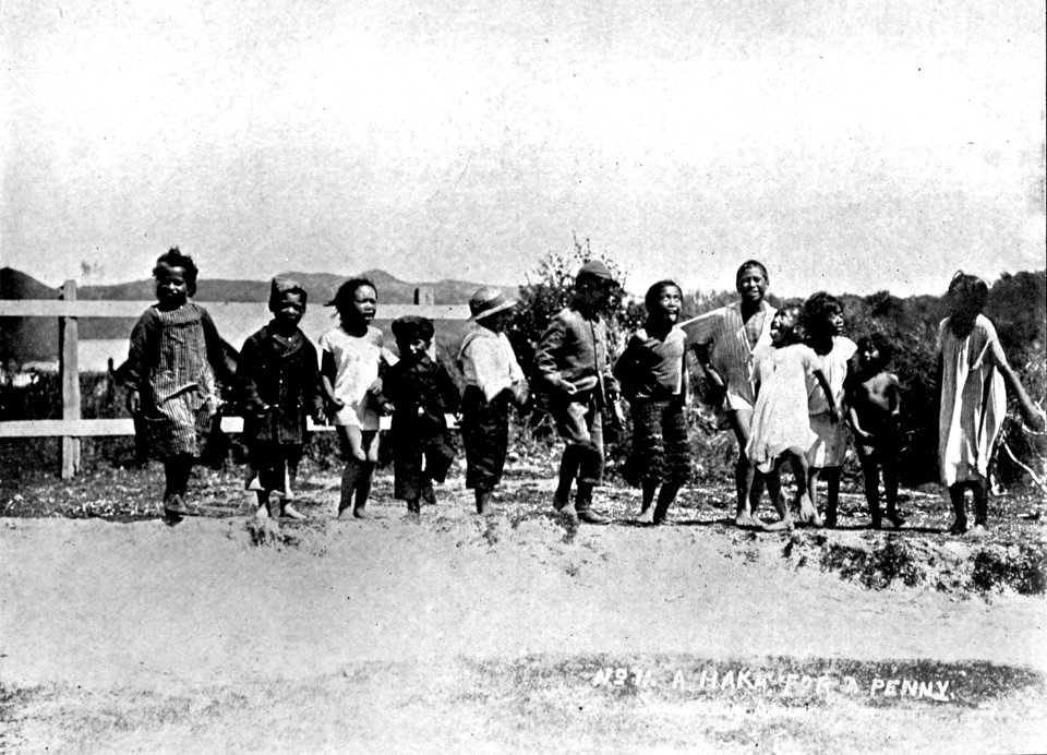 Emerald Hours in New Zealand (1906) · Lowth · 045