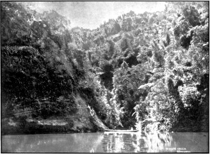 Emerald Hours in New Zealand (1906) · Lowth · 093