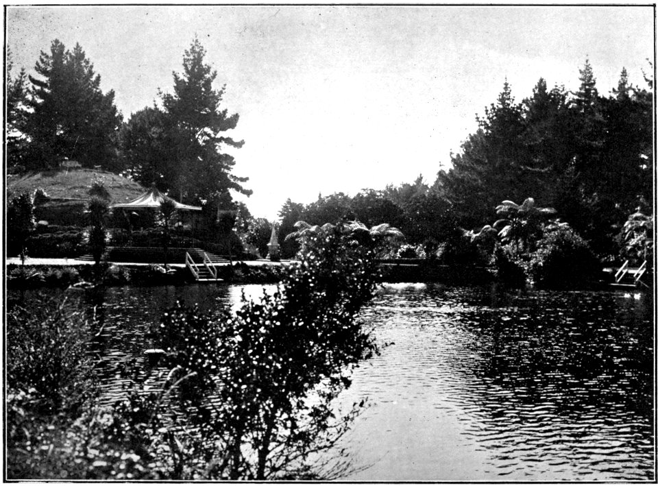 Emerald Hours in New Zealand (1906) · Lowth · 100