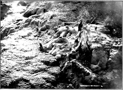 Emerald Hours in New Zealand (1906) · Lowth · 077