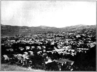 Emerald Hours in New Zealand (1906) · Lowth · 113