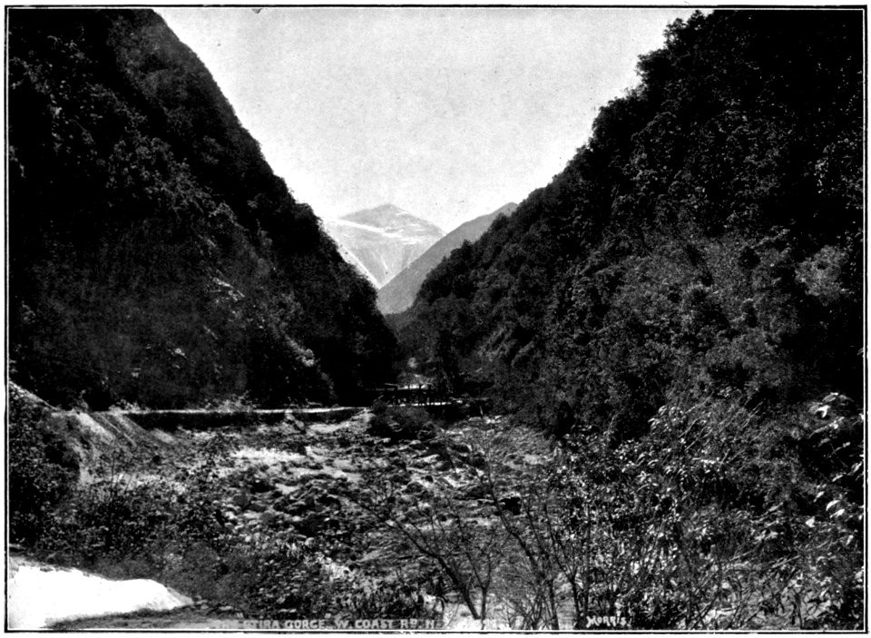 Emerald Hours in New Zealand (1906) · Lowth · 159