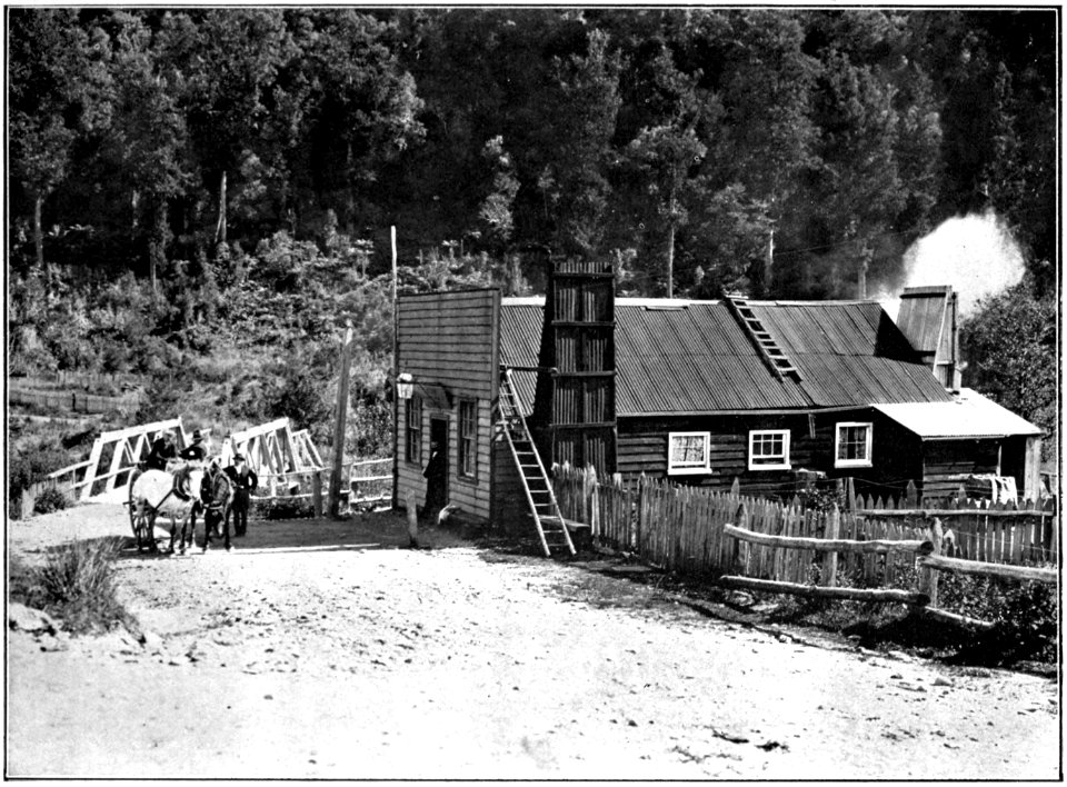 Emerald Hours in New Zealand (1906) · Lowth · 127