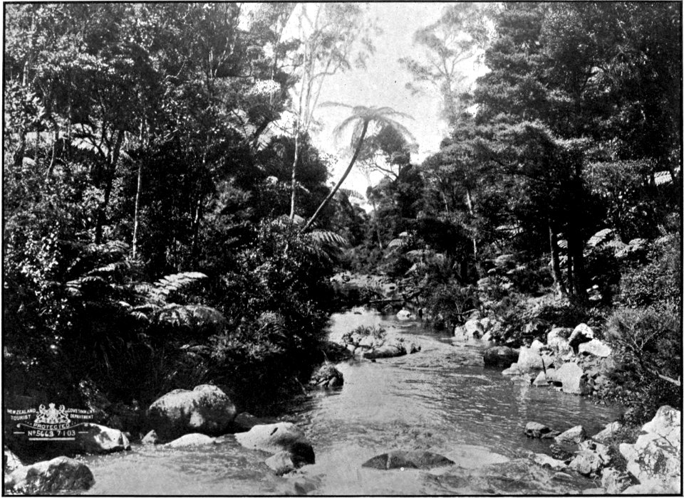 Emerald Hours in New Zealand (1906) · Lowth · 094