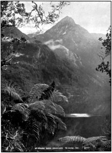 Emerald Hours in New Zealand (1906) · Lowth · 203