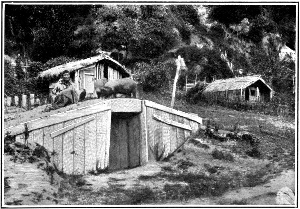Emerald Hours in New Zealand (1906) · Lowth · 151