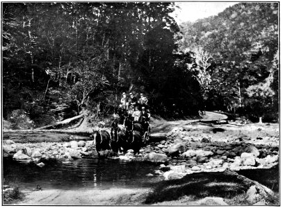 Emerald Hours in New Zealand (1906) · Lowth · 128