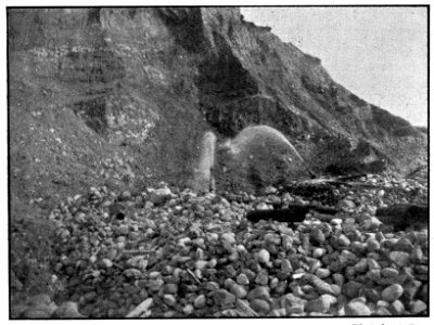 Emerald Hours in New Zealand (1906) · Lowth · 156