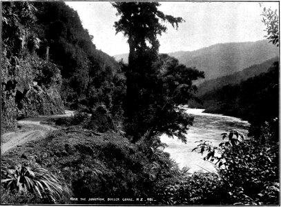 Emerald Hours in New Zealand (1906) · Lowth · 142