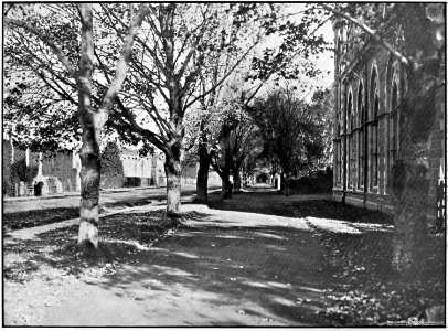 Emerald Hours in New Zealand (1906) · Lowth · 170