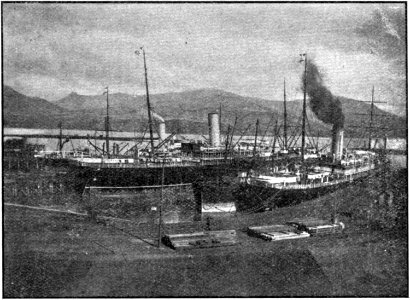 Emerald Hours in New Zealand (1906) · Lowth · 175