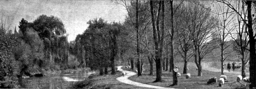 Emerald Hours in New Zealand (1906) · Lowth · 171