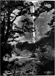 Emerald Hours in New Zealand (1906) · Lowth · 219