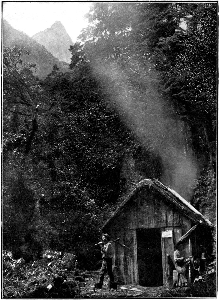 Emerald Hours in New Zealand (1906) · Lowth · 220