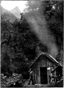 Emerald Hours in New Zealand (1906) · Lowth · 220
