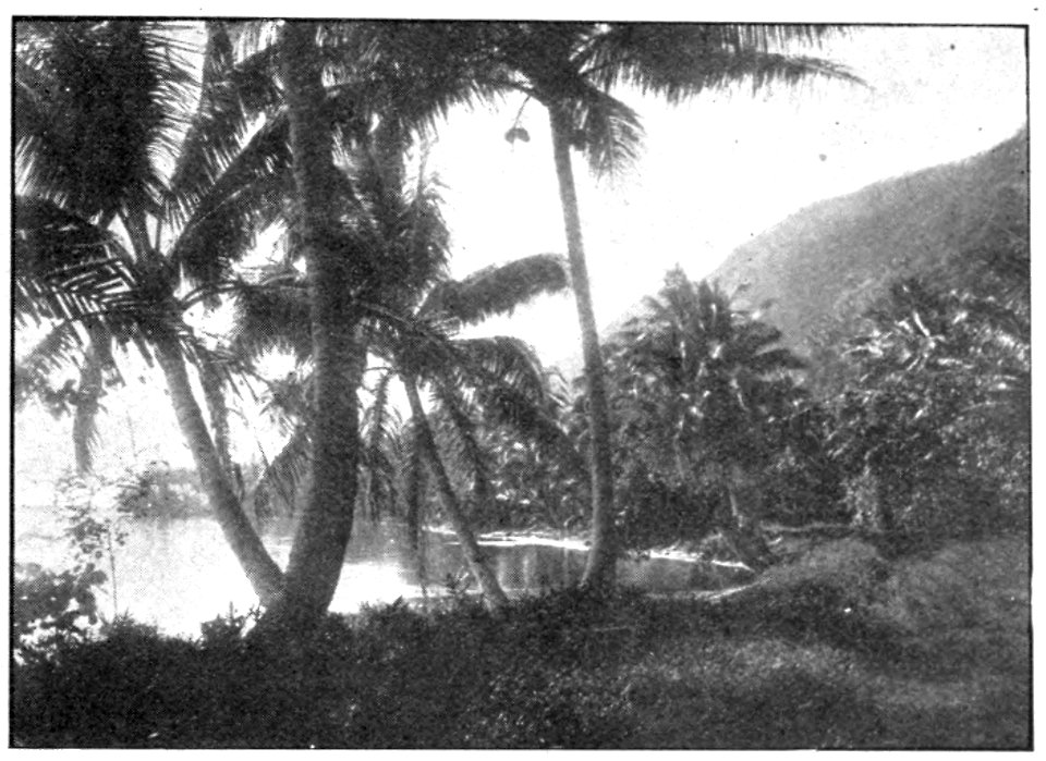 Emerald Hours in New Zealand (1906) · Lowth · 251