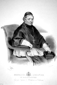 Emerich Osegovich Litho