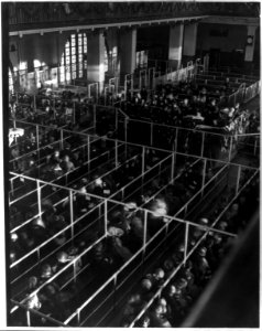 Emigrants in pens at Ellis Island, New York, probably on or near Christmas -note the decorations LCCN2012646352