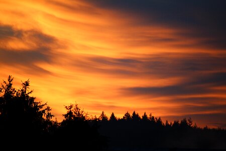 Top treetop romantic