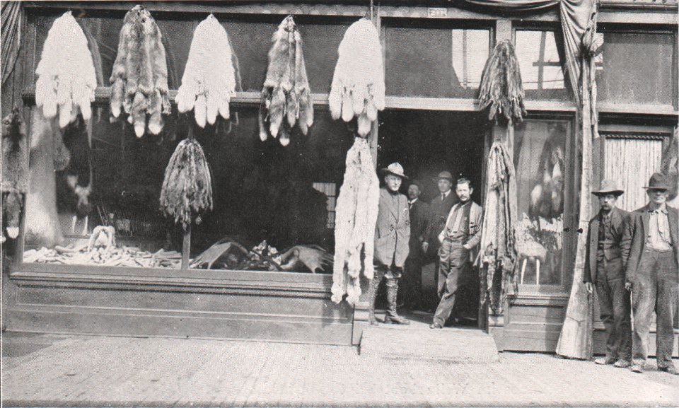 Emil Brass, Im Reiche der Pelze, Seite 188, Ein großes Fellgeschäft in Nome (Alaska)