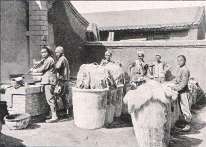 Emil Brass, Im Reiche der Pelze, Seite 253, Chinesische Rauchwaren-Zurichterei