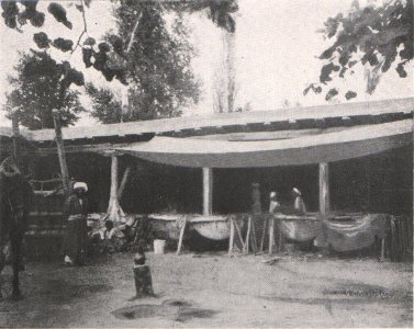 Emil Brass, Im Reiche der Pelze, Seite 259, Bilder aus Buchara, Persianerfelle in der Beize